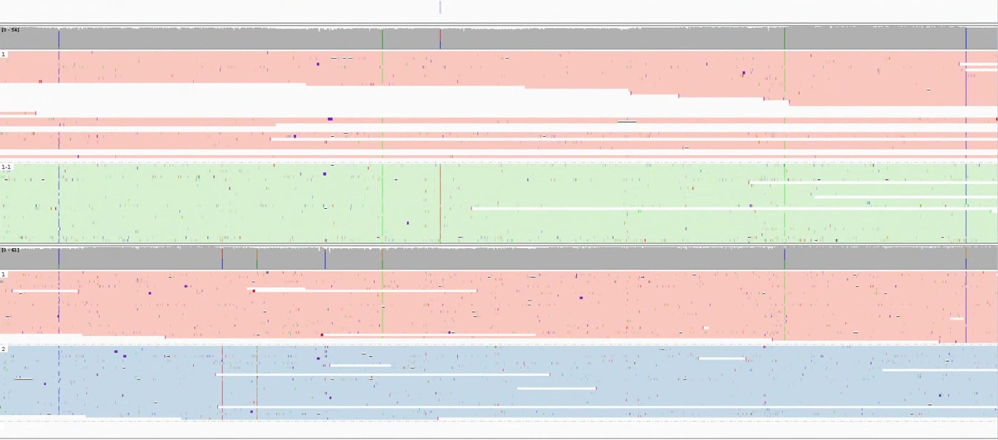 IGV 截圖:HCC1395 chr2:126767867,位於 LOH 區域內的 somatic haplotagging 結果